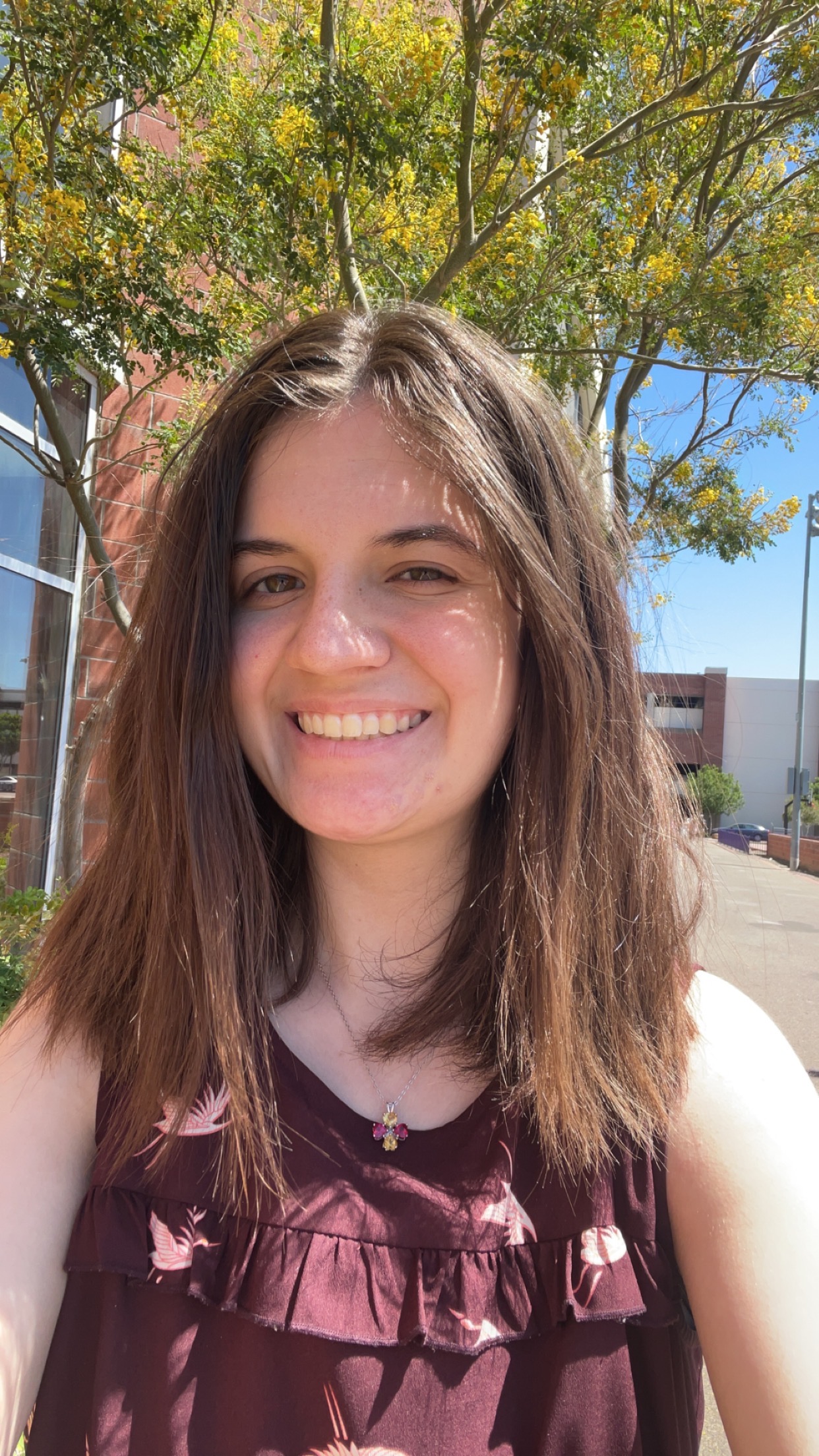 Hannah Diffey, Author at She Writes